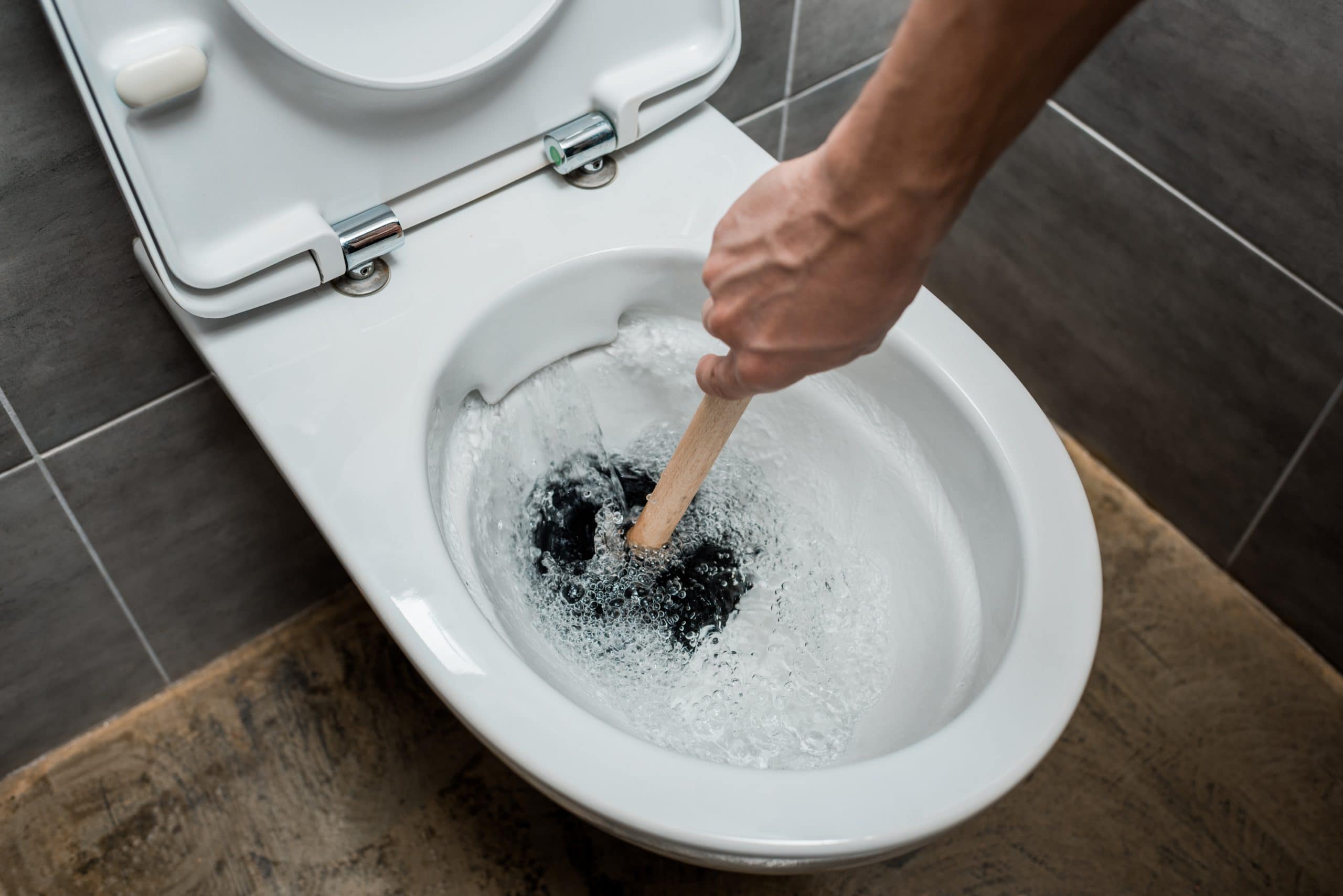 Clogged the Toilets